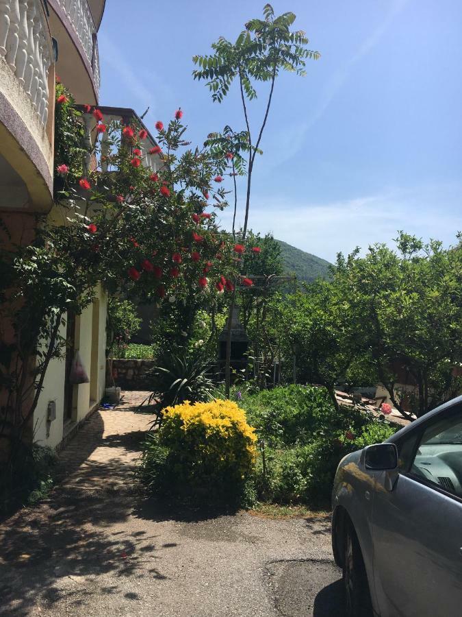 Sunny Hostel Будва Экстерьер фото