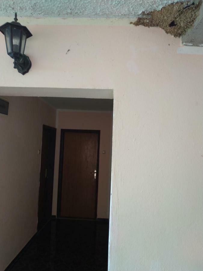 Sunny Hostel Будва Экстерьер фото